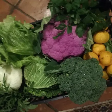 Vigna Rosa לינה וארוחת בוקר 4*