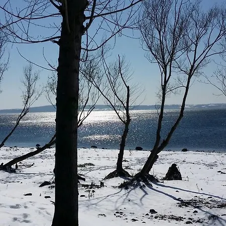 Vigna Rosa Bed & Breakfast