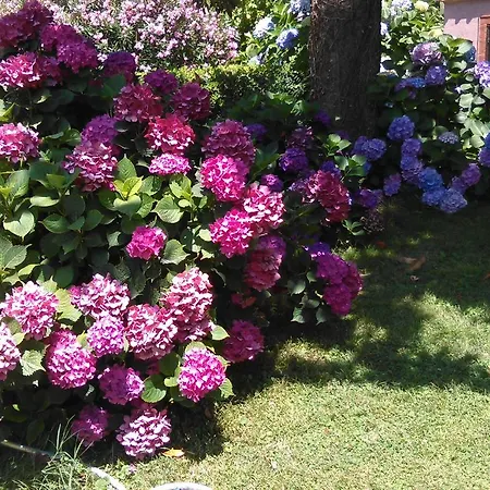 Bed & Breakfast Vigna Rosa