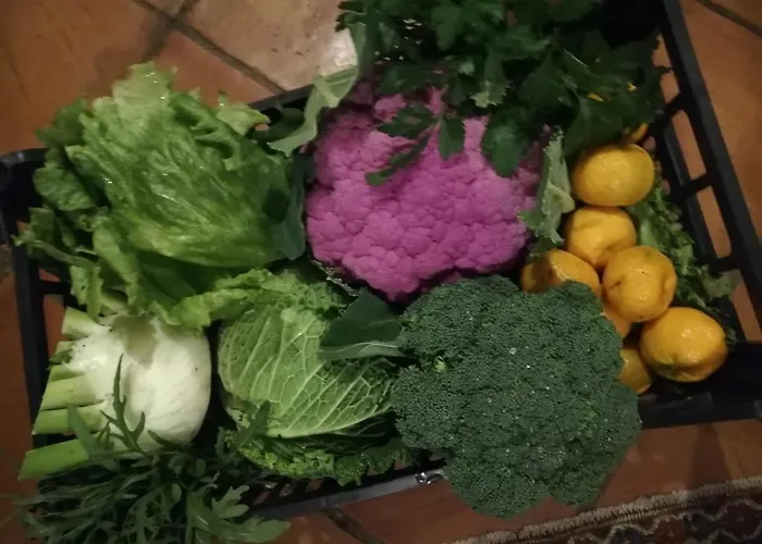 Vigna Rosa Bed & Breakfast 4*