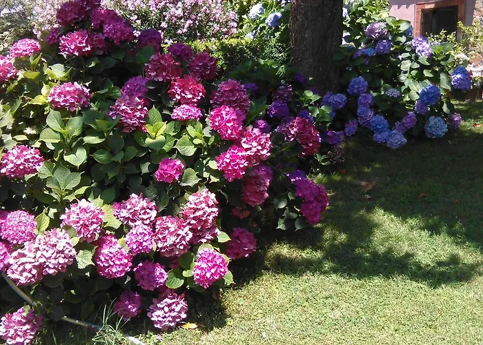 Bed & Breakfast Vigna Rosa