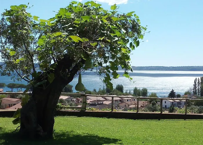 Bed & Breakfast Vigna Rosa